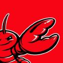 OpenClaw open-source Claw framework — GitHub openclaw organization avatar (public profile image) | BestClaw